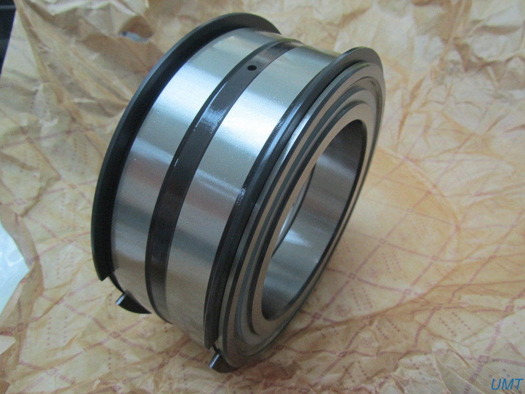 OD 150mm FAG Double Row Cylindrical Roller Bearing SIO45020 PP 2NR