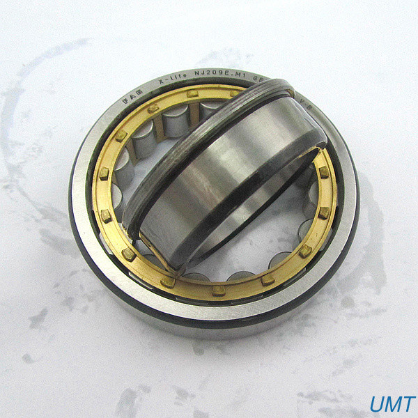 B BK FA FB F TN9 High Speed Spindle Bearings Roller NU 2208 ECJ / C3