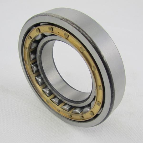 High Percision Stainless Steel Bearing NH320 ECMC4 VA301 For Traction