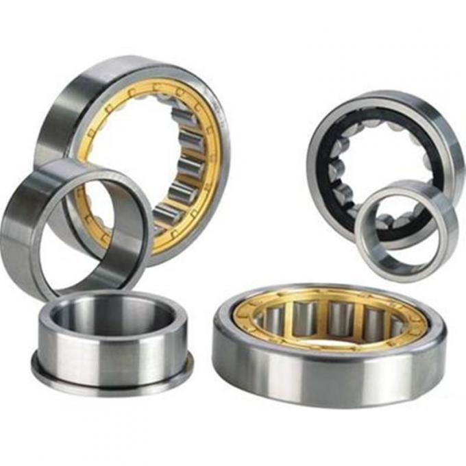 NUP NFP Type Cylindrical Roller Bearing NJ 2320 EC3 With Brass Cage