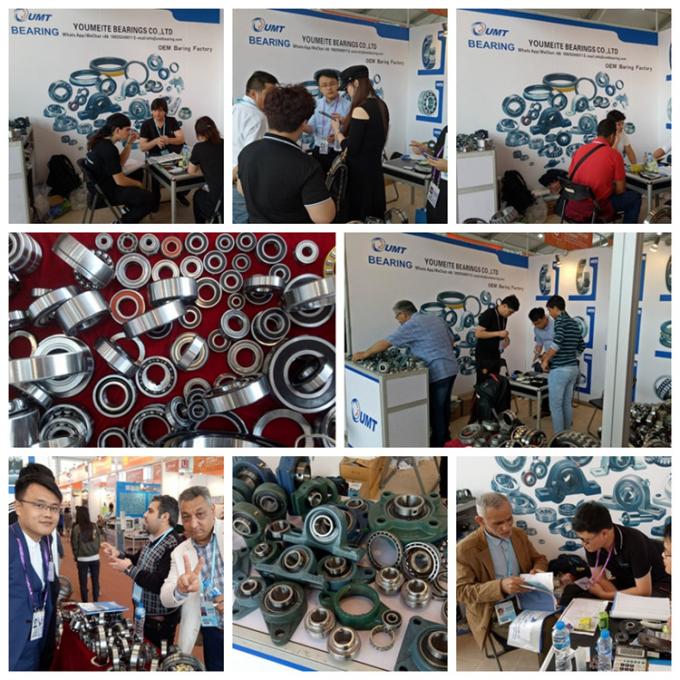 Anti Corresion Pillow Block Bearings , UCFL209 Insert Ball Bearing